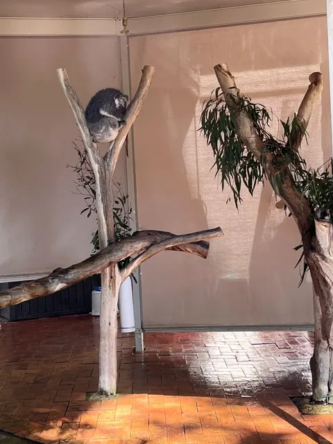 South Australia Vibes 🌺 Adelaide 3-Day Travel Guide 📚