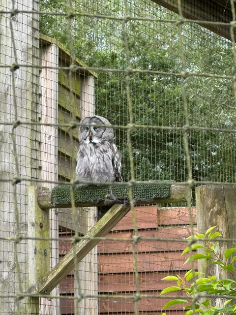 ✨ Ireland’s Ultimate Summer Adventure: Emerald Park 
