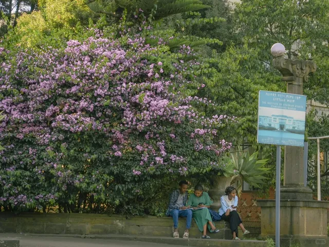 📸 Taking Photos at Ethiopia’s Top University! 🎓🌳