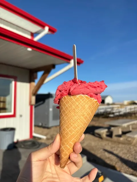 🇨🇦 Saskatoon Food & Fun Half-Day Adventure