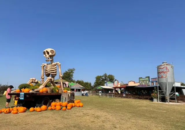 Yesterland Farm: A Country Disney Near Dallas