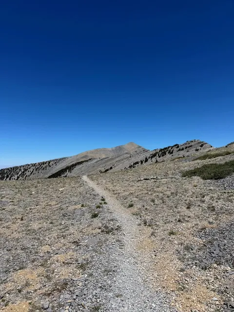 Successfully Summited Mt. Charleston! ⛰️🎉