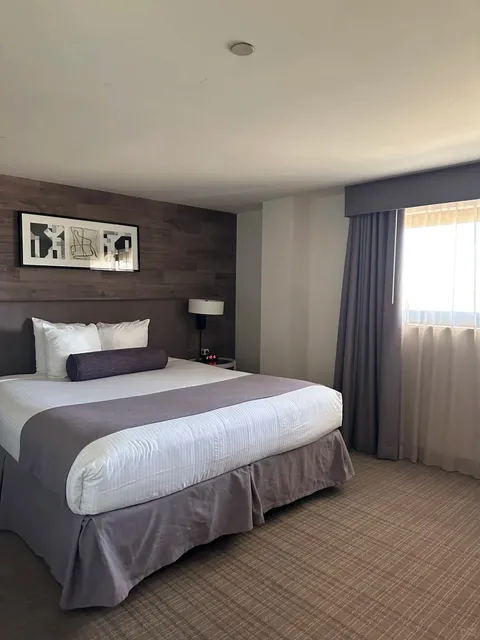 Denver Hotel Recommendation！！ 🏨✨