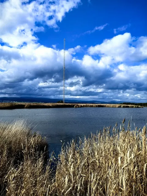 🇦🇺 Launceston | Tamar Island Wetlands Reserve 🦢