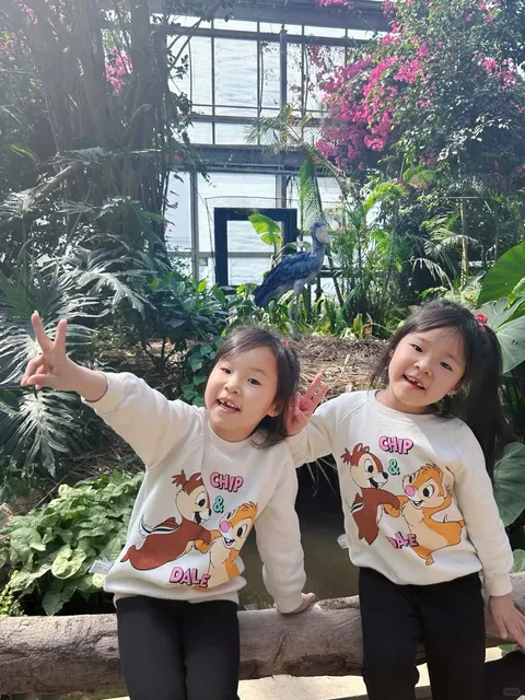 🦘🦉 Petting Kangaroos and Seeing Owls in Kobe