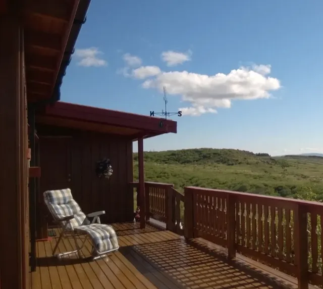 In summer, a type of flying insect called Lúsmý appears in Iceland