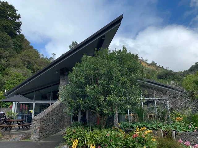 Whangarei – A Serendipitous Encounter in New Zealand’s North 🌿✨