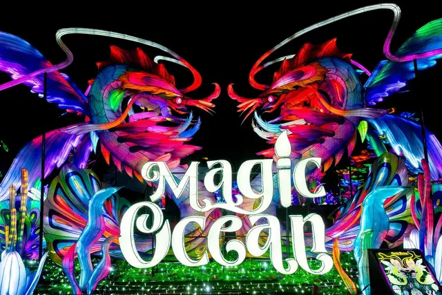 Tianyu Lantern Festival: 50% OFF Limited-Time Deal!