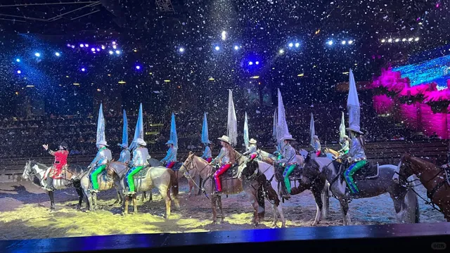 🎢 Branson Amusement Parks + Shows 🎭