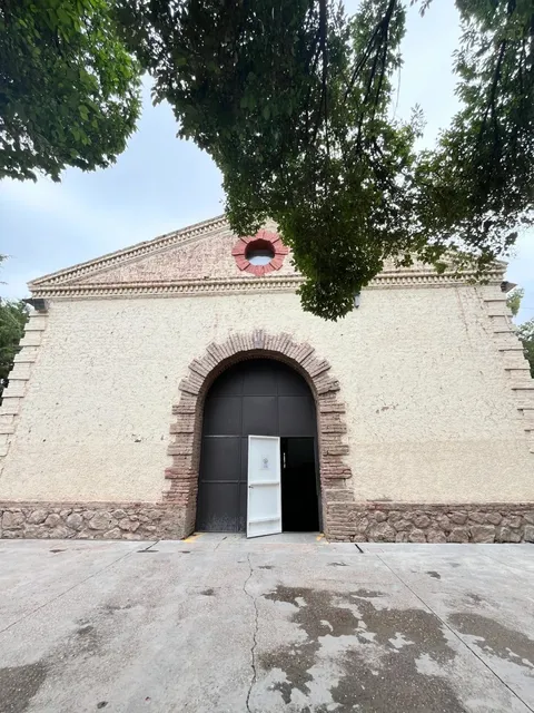 🇦🇷 Mendoza Ultimate Guide: Wine, Peaks & Pro Tips 🍷🏔️