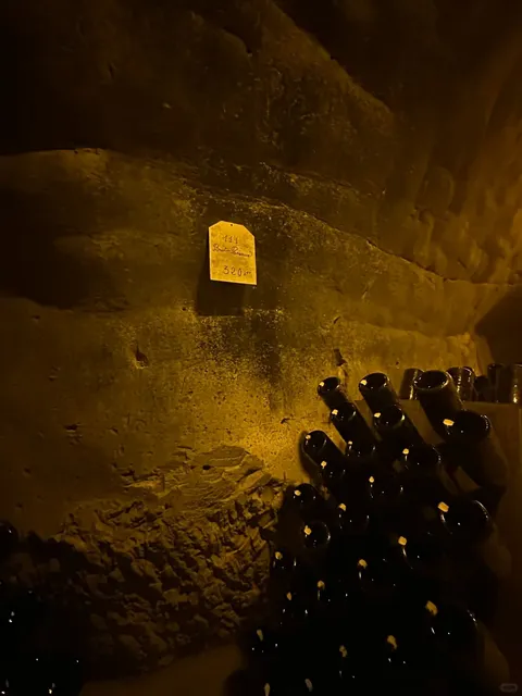 🇫🇷 Reims, France - A Bubbly Champagne Adventure �✨