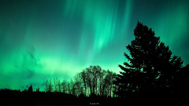 🇨🇦 Northern Lights in Winnipeg｜Real Shot