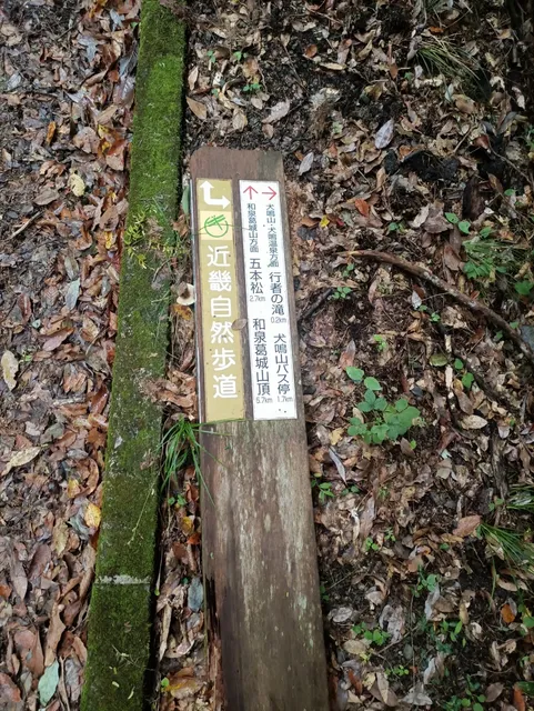 ✅ Daionji Temple 🌿 