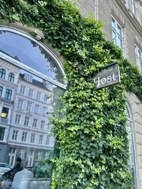 🇩🇰 | The World's Most Beautiful Restaurant