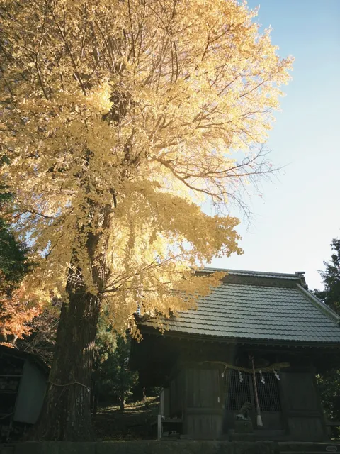 🌸🌺🌿🍃 Zushi Yada Mountain Travel 🌸🌺🌿🍃