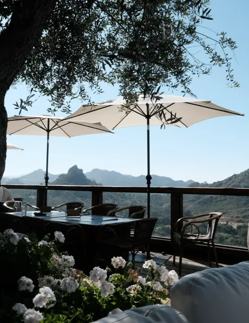 🍇 Hidden Vineyard Escape in the Malibu Hills | Cielo Farms