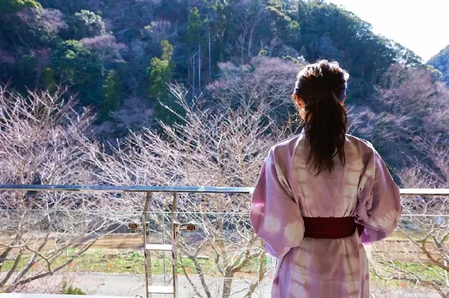 Izu Shimoda | Seiryu-so