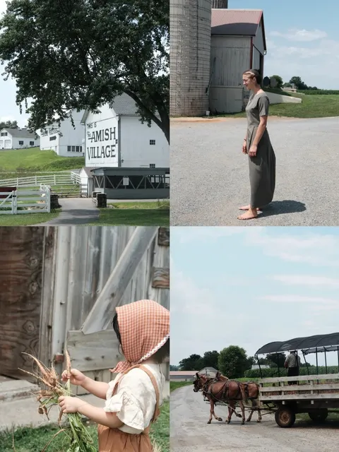 How Much Fun Can You Have at a Big American Farm? 