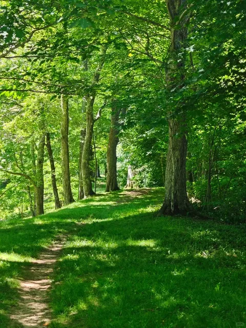 🇨🇦 Windsor, NS: A Hidden Gem Near Halifax! 🏡✨