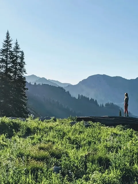 🇺🇸 A Hidden Gem Near Salt Lake City – Albion Basin! 🌸🏔️