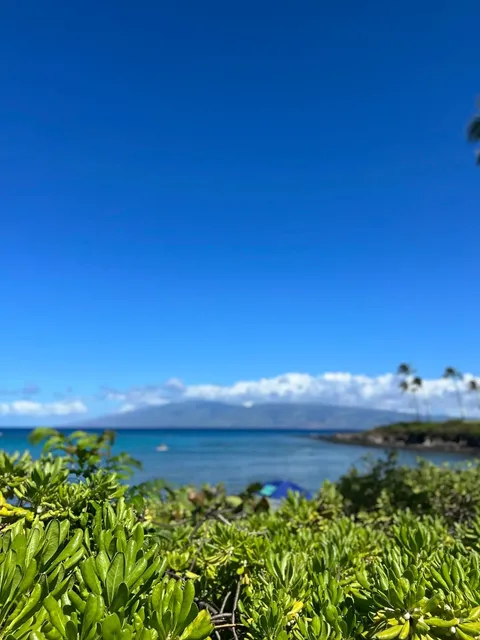 🌺 Maui, Hawaii Travel Guide: Top Attractions 🌴
