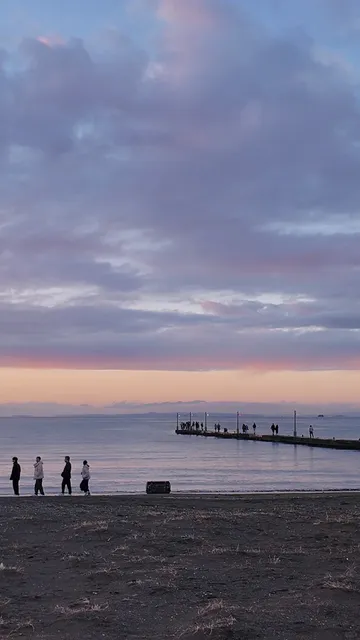Japan's Chiba's Stunning Off-the-Beaten-Path Pink Sea 🌊🌸