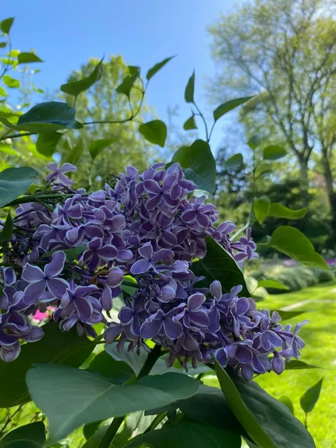  Gardens, Music & Perfect Weather | A Blissful NYC Weekend