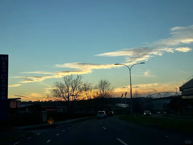 🇳🇿 North Shore Mini Hike｜Auckland’s Quickest Nature Escape! 🌿