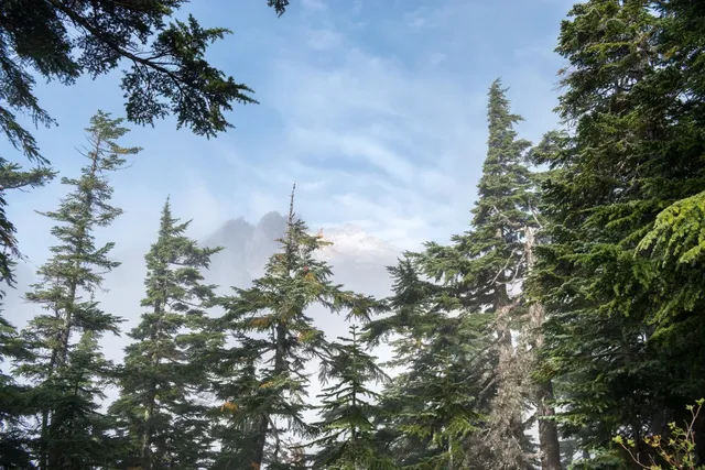 Vesper Peak | Washington's Alpine Jewel ⛰️