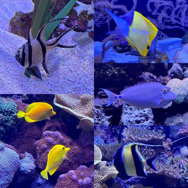 Seattle 3-Day Car-Free Trip Review (Part 1) 🚶‍♂️🌆