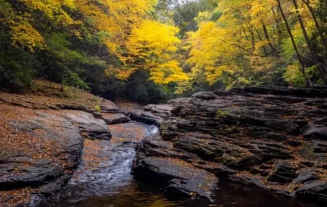 🍂 Laurel Highlands | Pennsylvania's Scenic Mountain Playground