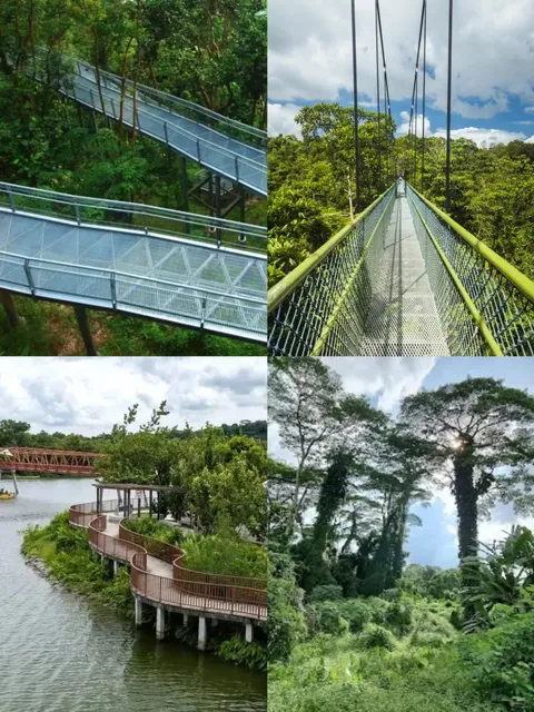  Singapore Hiking, the scenery is absolutely stunning! 🌟🌈