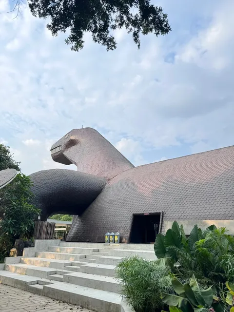 🦎 Komodo Dragon Museum