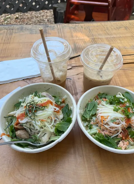 Boston Cicada | The Vietnamese Restaurant I Keep Returning To! 💚