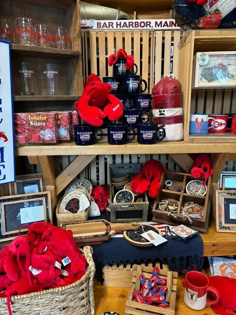 🇺🇸 Maine Travel｜A Fun & Relaxing Half-Day in Bar Harbor 🦞🫐