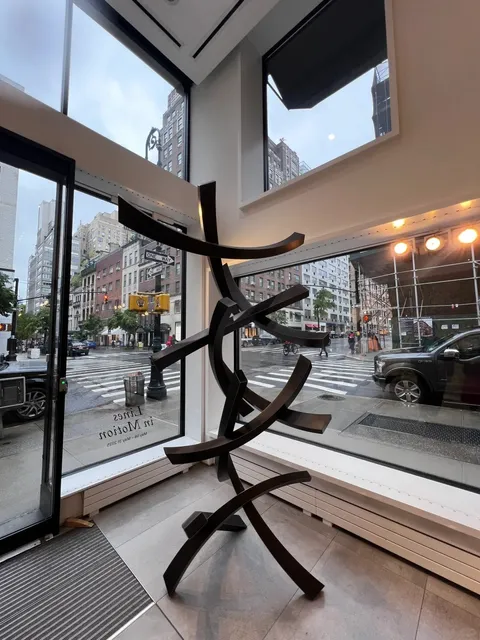 🎨 NYC's Hidden Gem | Opera Gallery - Where Lines Come Alive! ✨