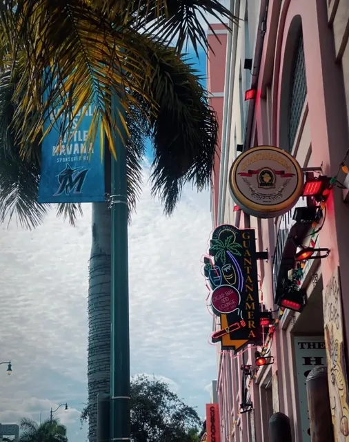 Must-Visit Attractions in Miami