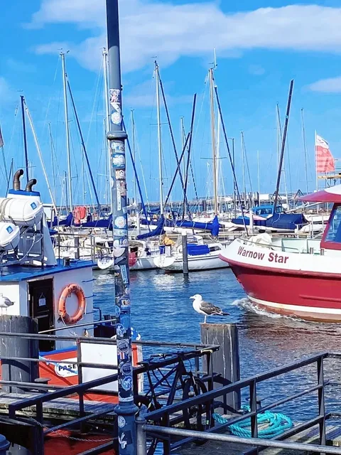 Day Trip from Berlin | Rostock & Warnemünde Adventure 🌊🚂