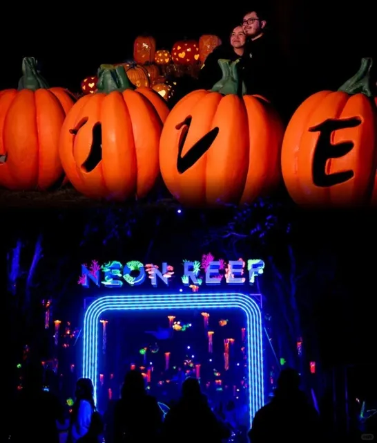 Dallas Fall Must-Visit: Pumpkin Nights