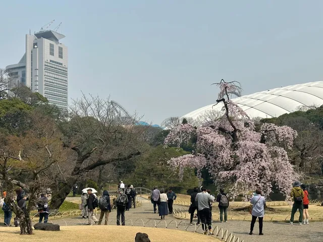 photo-2