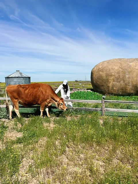 Ultimate 5-Day Idaho Travel Guide