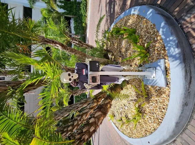 Absolutely Amazing – Wonderful In Every Way! 🌟🙌