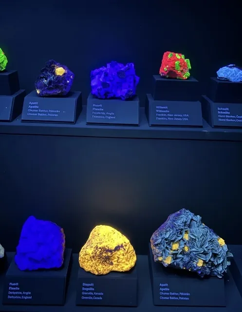 Prague's Alternative Face: The Plastic People of the Univers