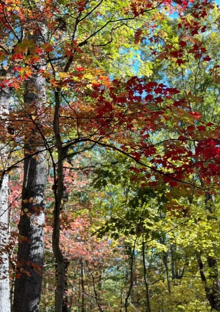 📍 Hartwood Acres Park – A Grand Autumn Escape into Nature's Canvas
