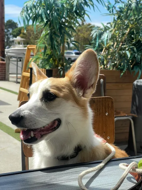 LA Irvine Area | NEP | That Crab & Egg Toast Will Have You Craving Mor