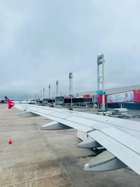 🇧🇷 Curitiba, Brazil – Not All Neighborhoods Are Safe!