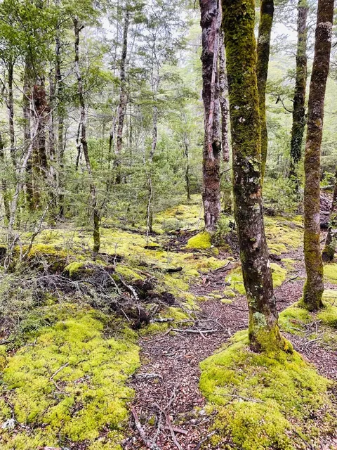 🇳🇿 Day 87 | Greymouth Adventure: Rain, Rocks & Rainbows!