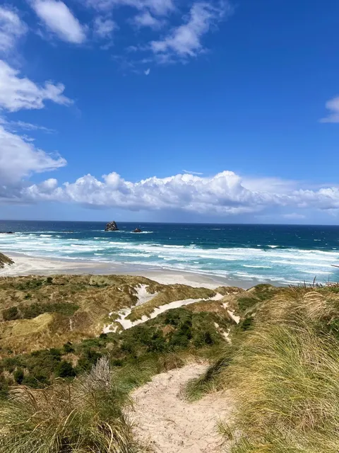 🇳🇿 This Might Be the Most Heartfelt Dunedin Travel Guide Ever