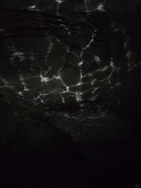 🇳🇿 3-Day Tauranga Trip from Auckland: Day 1 Adventure