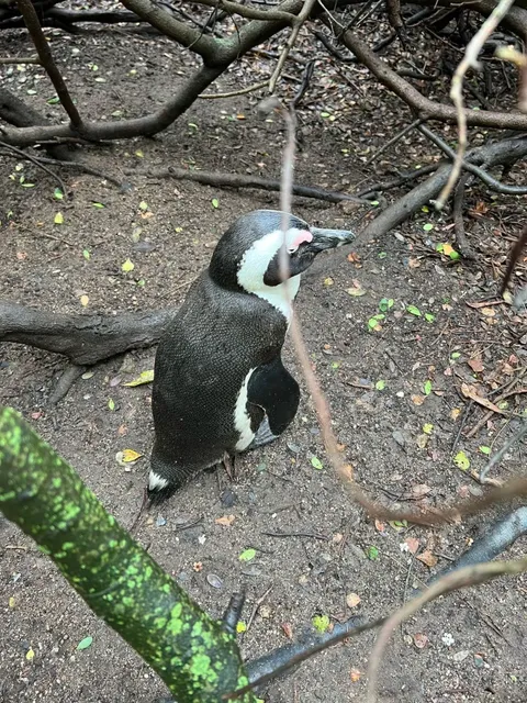 Port Elizabeth Road Trip ~ Day 1! 🚗💨🇿🇦